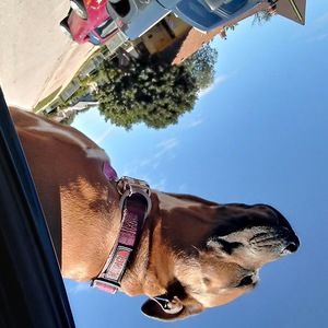 Meet your Posher, Chloe